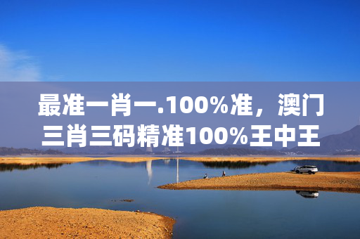 最准一肖一.100%准，澳门三肖三码精准100%王中王_结论释义解释落实_iPhone版v64.70.89