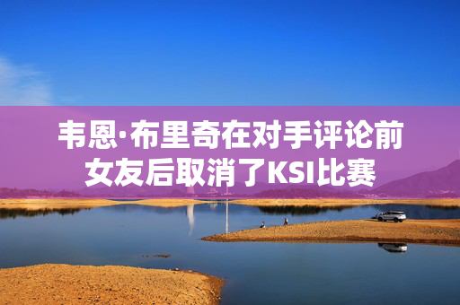 韦恩·布里奇在对手评论前女友后取消了KSI比赛