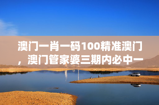 澳门一肖一码100精准澳门，澳门管家婆三期内必中一期_结论释义解释落实_iPad10.94.03