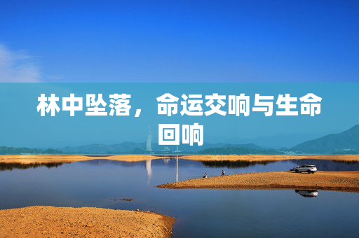 林中坠落，命运交响与生命回响