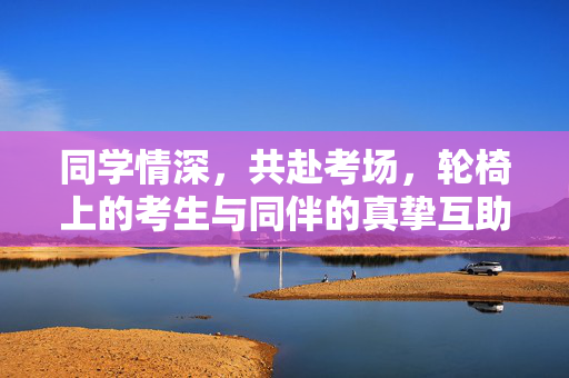 同学情深，共赴考场，轮椅上的考生与同伴的真挚互助之旅