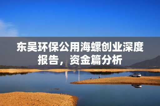 东吴环保公用海螺创业深度报告，资金篇分析