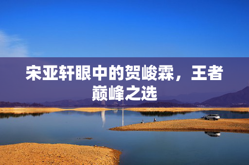 宋亚轩眼中的贺峻霖，王者巅峰之选