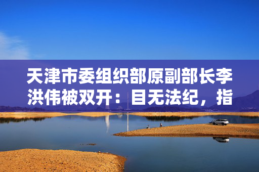 天津市委组织部原副部长李洪伟被双开：目无法纪，指使他人打探案情