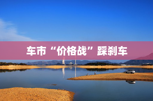 车市“价格战”踩刹车