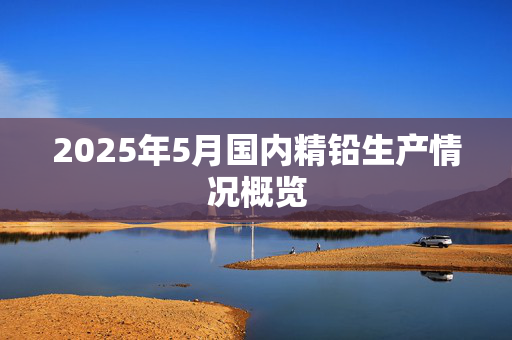 2025年5月国内精铅生产情况概览