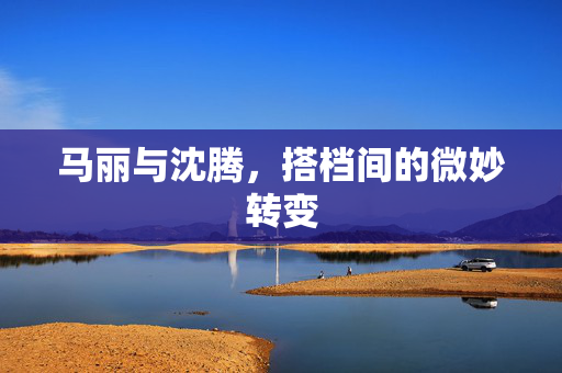 马丽与沈腾，搭档间的微妙转变