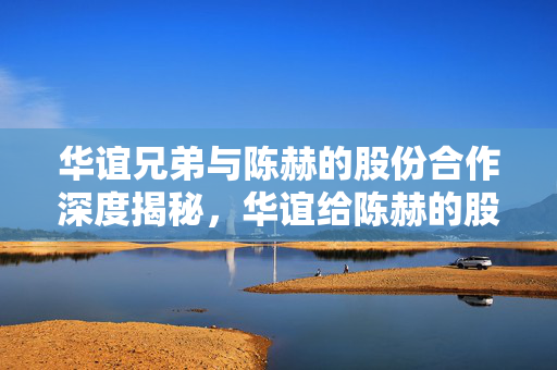 华谊兄弟与陈赫的股份合作深度揭秘，华谊给陈赫的股份比例究竟如何？