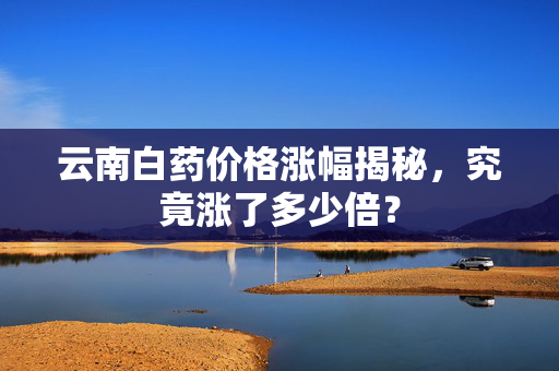 云南白药价格涨幅揭秘，究竟涨了多少倍？