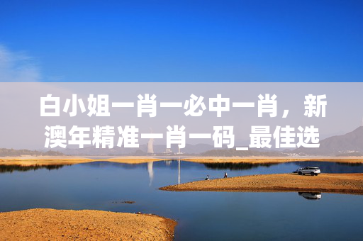 白小姐一肖一必中一肖，新澳年精准一肖一码_最佳选择_网页版v723.929