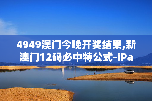 4949澳门今晚开奖结果,新澳门12码必中特公式-iPad77.08.68