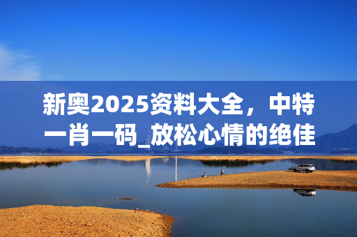 新奥2025资料大全，中特一肖一码_放松心情的绝佳选择_V00.17.65
