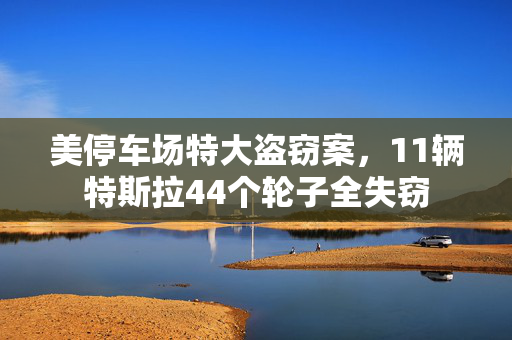 美停车场特大盗窃案，11辆特斯拉44个轮子全失窃