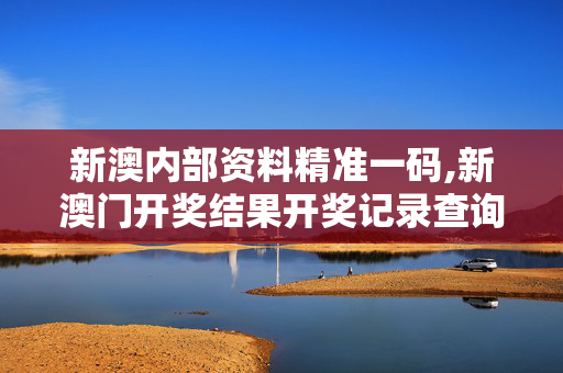 新澳内部资料精准一码,新澳门开奖结果开奖记录查询官网-手机版049.102