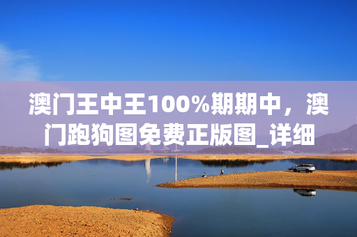 澳门王中王100%期期中，澳门跑狗图免费正版图_详细解答解释落实_3DM50.64.52