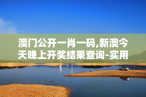 澳门公开一肖一码,新澳今天晚上开奖结果查询-实用版170.546
