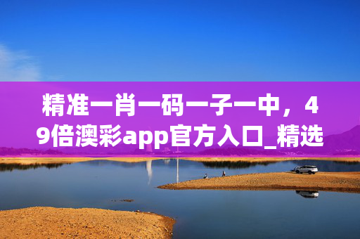 精准一肖一码一子一中，49倍澳彩app官方入口_精选解释落实将深度解析_GM版v00.72.65