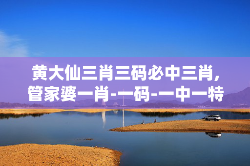 黄大仙三肖三码必中三肖,管家婆一肖-一码-一中一特-安卓版357.537