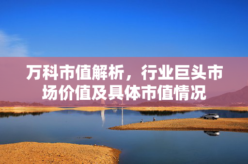 万科市值解析，行业巨头市场价值及具体市值情况