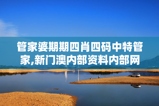 管家婆期期四肖四码中特管家,新门澳内部资料内部网站-3DM87.92.07