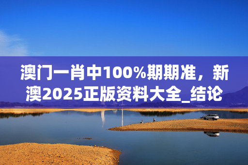 澳门一肖中100%期期准，新澳2025正版资料大全_结论释义解释落实_安卓版006.766