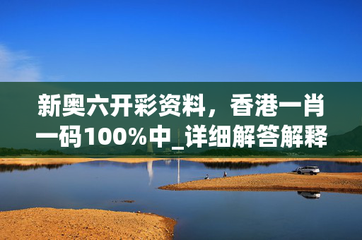 新奥六开彩资料，香港一肖一码100%中_详细解答解释落实_主页版v579.194
