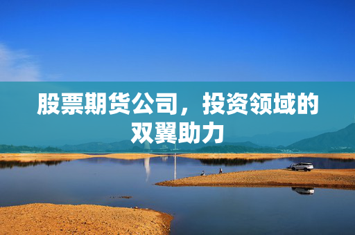 股票期货公司，投资领域的双翼助力