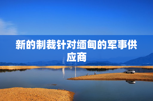 新的制裁针对缅甸的军事供应商