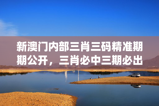 新澳门内部三肖三码精准期期公开，三肖必中三期必出特_精选解释落实将深度解析_网页版v831.987