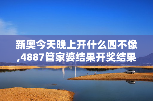 新奥今天晚上开什么四不像,4887管家婆结果开奖结果小说-3DM12.75.53