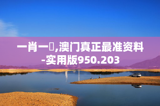 一肖一碼,澳门真正最准资料-实用版950.203