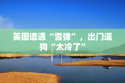 英国遭遇“雪弹”，出门遛狗“太冷了”