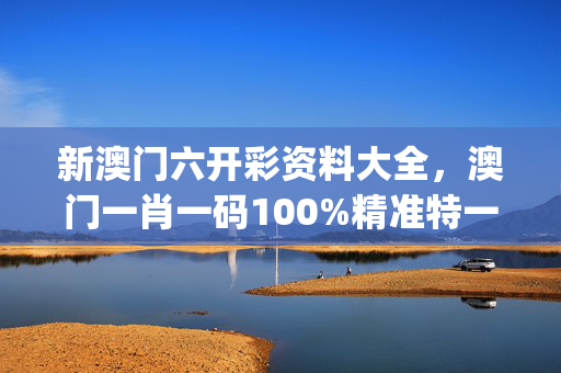 新澳门六开彩资料大全，澳门一肖一码100%精准特一_作答解释落实_安卓版812.478