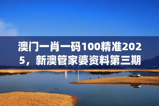 澳门一肖一码100精准2025，新澳管家婆资料第三期_引发热议与讨论_主页版v910.436
