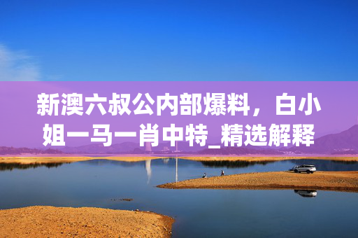 新澳六叔公内部爆料，白小姐一马一肖中特_精选解释落实将深度解析_主页版v269.712