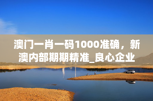 澳门一肖一码1000准确，新澳内部期期精准_良心企业，值得支持_GM版v74.15.87