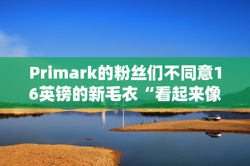 Primark的粉丝们不同意16英镑的新毛衣“看起来像虫子”