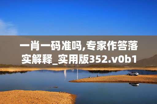 一肖一码准吗,专家作答落实解释_实用版352.v0b1