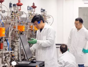 器官、肉和现在的牙齿——进入实验室培育的身体部位的狂野世界