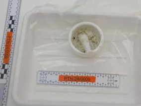 Southport杀手Axel Rudakubana制作的致命蓖麻毒素食谱被谷歌和TikTok禁止