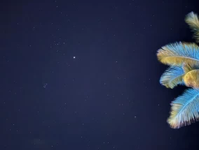 夜间摄影洞察：比较三星Galaxy S25 Ultra和iPhone 16 Pro Max