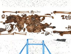 年轻女子“在祭祀仪式中被斩首”，这是2000年前的谜团