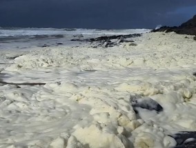澳大利亚冲浪者报告生病，泡沫和死鱼被冲上岸