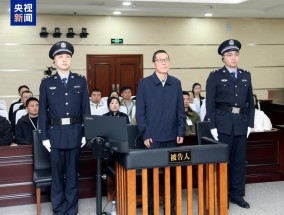 紫光集团原董事长赵伟国一审被判死缓