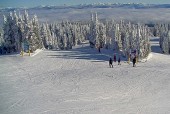 奥肯那根的银星度假村(SilverStar Resort)，以及其他即将上市的房产